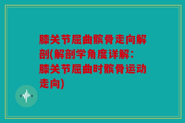 膝关节屈曲髌骨走向解剖(解剖学角度详解：膝关节屈曲时髌骨运动走向)