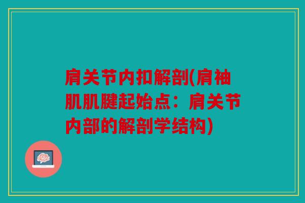 肩关节内扣解剖(肩袖肌肌腱起始点：肩关节内部的解剖学结构)