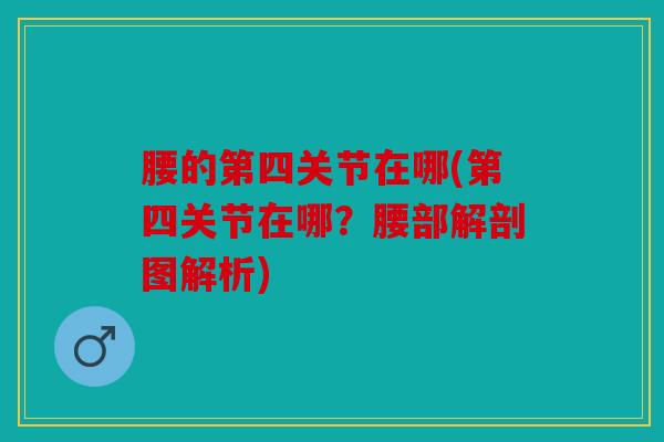 腰的第四关节在哪(第四关节在哪？腰部解剖图解析)