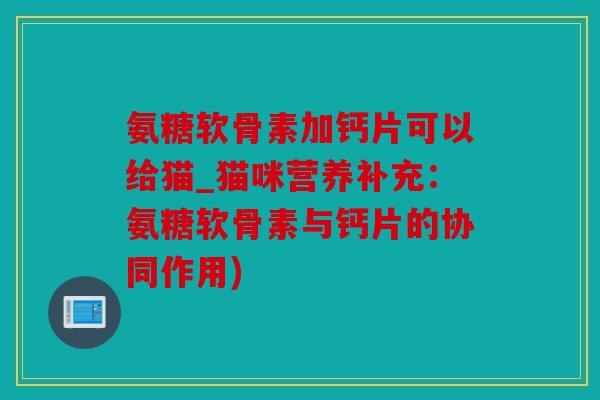 氨糖软骨素加钙片可以给猫_猫咪营养补充：氨糖软骨素与钙片的协同作用)