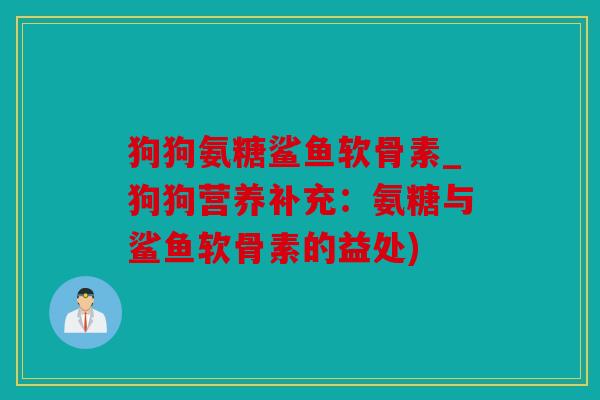 狗狗氨糖鲨鱼软骨素_狗狗营养补充：氨糖与鲨鱼软骨素的益处)