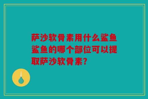 萨沙软骨素用什么鲨鱼鲨鱼的哪个部位可以提取萨沙软骨素？