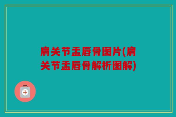 肩关节盂唇骨图片(肩关节盂唇骨解析图解)