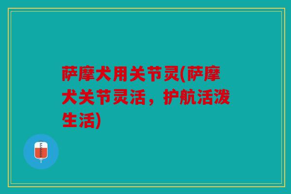 萨摩犬用关节灵(萨摩犬关节灵活，护航活泼生活)