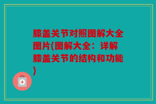 膝盖关节对照图解大全图片(图解大全：详解膝盖关节的结构和功能)