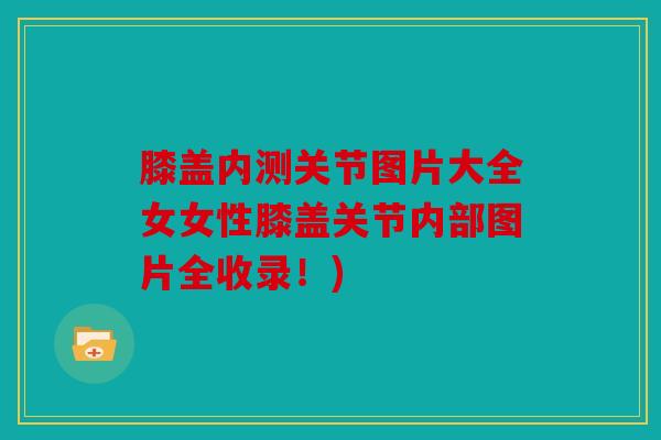 膝盖内测关节图片大全女女性膝盖关节内部图片全收录！)