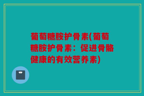 葡萄糖胺护骨素(葡萄糖胺护骨素：促进骨骼健康的有效营养素)