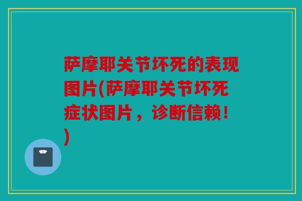 萨摩耶关节坏死的表现图片(萨摩耶关节坏死症状图片，诊断信赖！)