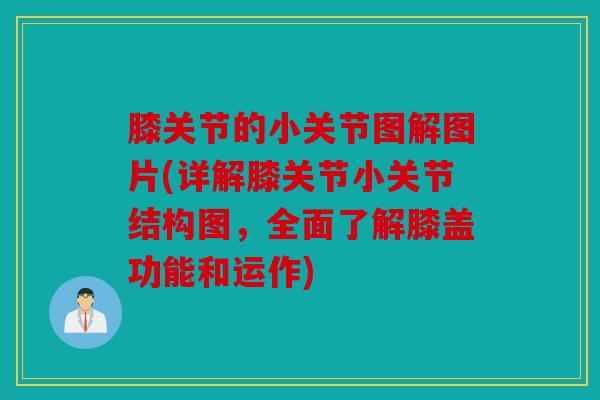 膝关节的小关节图解图片(详解膝关节小关节结构图，全面了解膝盖功能和运作)