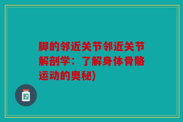 脚的邻近关节邻近关节解剖学：了解身体骨骼运动的奥秘)