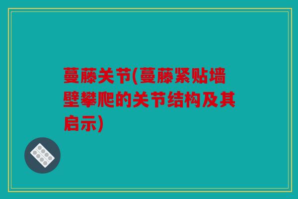 蔓藤关节(蔓藤紧贴墙壁攀爬的关节结构及其启示)