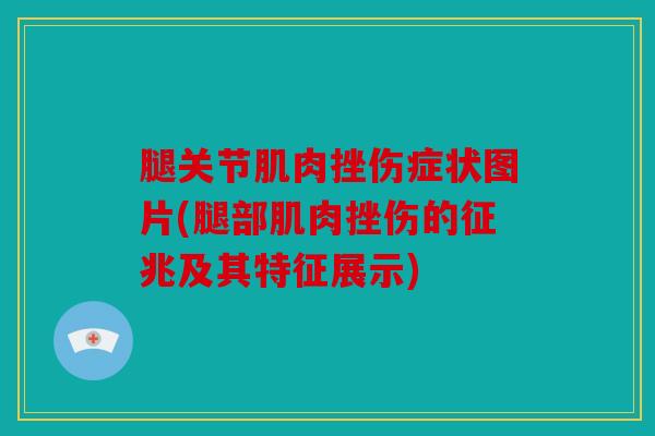 腿关节肌肉挫伤症状图片(腿部肌肉挫伤的征兆及其特征展示)