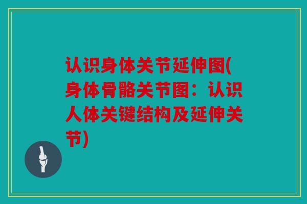 认识身体关节延伸图(身体骨骼关节图：认识人体关键结构及延伸关节)