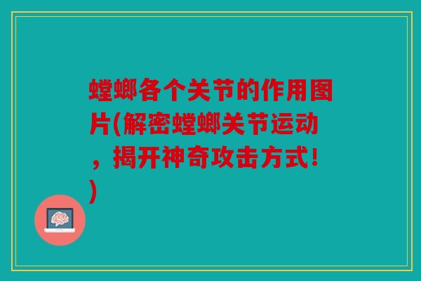 螳螂各个关节的作用图片(解密螳螂关节运动，揭开神奇攻击方式！)