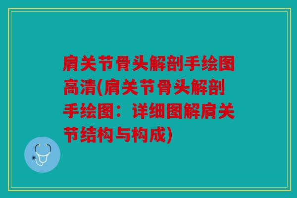 肩关节骨头解剖手绘图高清(肩关节骨头解剖手绘图：详细图解肩关节结构与构成)