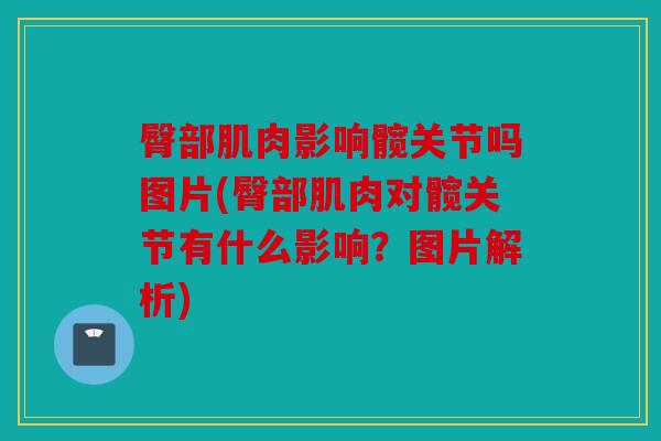 臀部肌肉影响髋关节吗图片(臀部肌肉对髋关节有什么影响？图片解析)