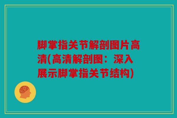 脚掌指关节解剖图片高清(高清解剖图：深入展示脚掌指关节结构)