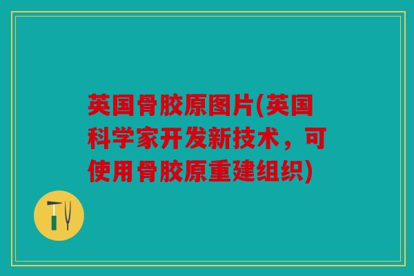 英国骨胶原图片(英国科学家开发新技术，可使用骨胶原重建组织)