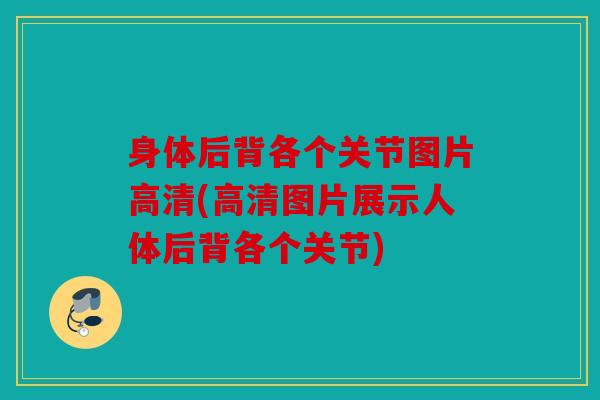 身体后背各个关节图片高清(高清图片展示人体后背各个关节)