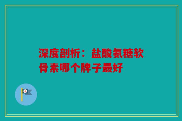 深度剖析：盐酸氨糖软骨素哪个牌子最好