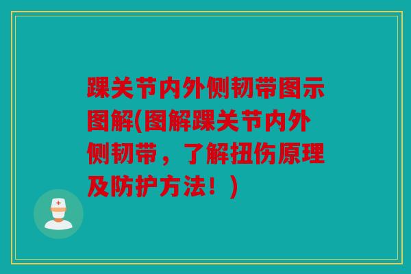 踝关节内外侧韧带图示图解(图解踝关节内外侧韧带，了解扭伤原理及防护方法！)