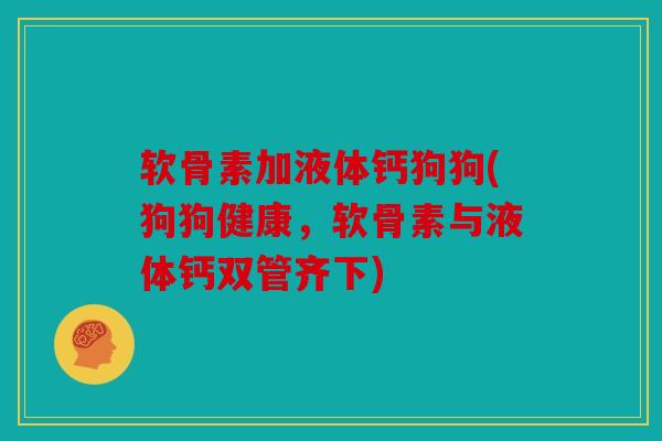 软骨素加液体钙狗狗(狗狗健康，软骨素与液体钙双管齐下)