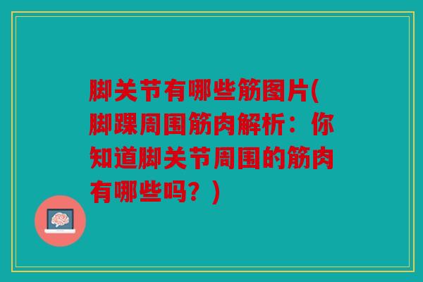 脚关节有哪些筋图片(脚踝周围筋肉解析：你知道脚关节周围的筋肉有哪些吗？)