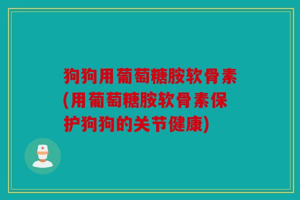 狗狗用葡萄糖胺软骨素(用葡萄糖胺软骨素保护狗狗的关节健康)