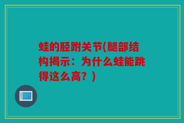 蛙的胫跗关节(腿部结构揭示：为什么蛙能跳得这么高？)