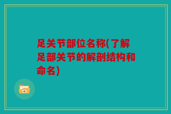 足关节部位名称(了解足部关节的解剖结构和命名)