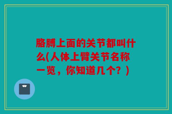 胳膊上面的关节都叫什么(人体上臂关节名称一览，你知道几个？)