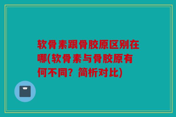 软骨素跟骨胶原区别在哪(软骨素与骨胶原有何不同？简析对比)