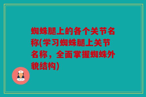 蜘蛛腿上的各个关节名称(学习蜘蛛腿上关节名称，全面掌握蜘蛛外貌结构)