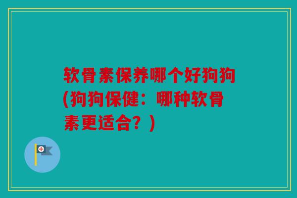 软骨素保养哪个好狗狗(狗狗保健：哪种软骨素更适合？)