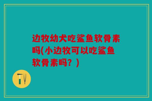 边牧幼犬吃鲨鱼软骨素吗(小边牧可以吃鲨鱼软骨素吗？)