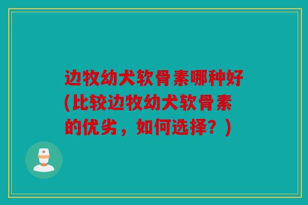 边牧幼犬软骨素哪种好(比较边牧幼犬软骨素的优劣，如何选择？)