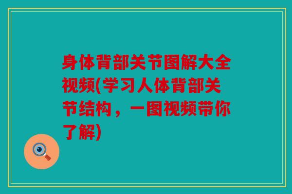 身体背部关节图解大全视频(学习人体背部关节结构，一图视频带你了解)