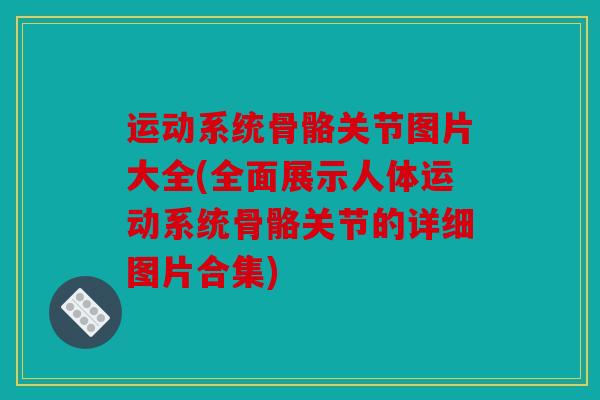 运动系统骨骼关节图片大全(全面展示人体运动系统骨骼关节的详细图片合集)