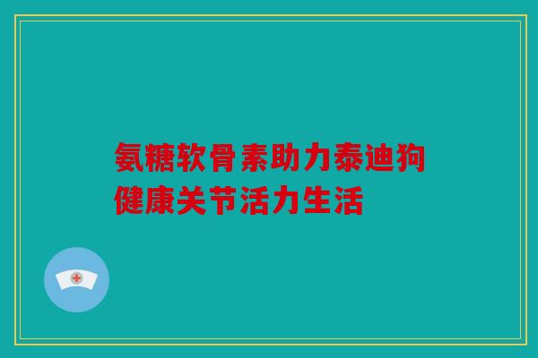 氨糖软骨素助力泰迪狗健康关节活力生活