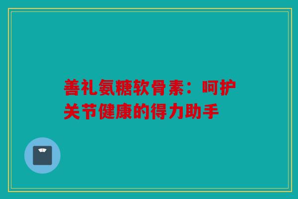 善礼氨糖软骨素：呵护关节健康的得力助手