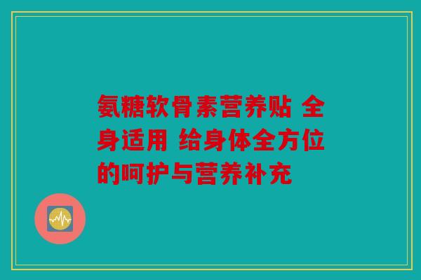 氨糖软骨素营养贴 全身适用 给身体全方位的呵护与营养补充