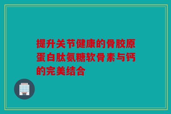 提升关节健康的骨胶原蛋白肽氨糖软骨素与钙的完美结合