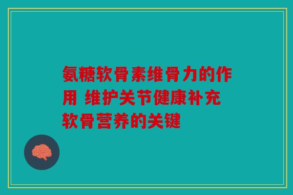 氨糖软骨素维骨力的作用 维护关节健康补充软骨营养的关键