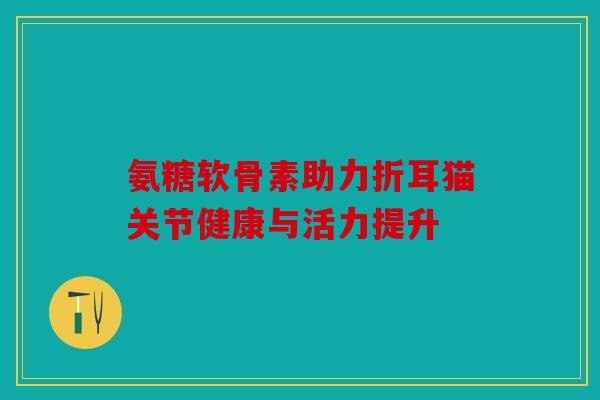 氨糖软骨素助力折耳猫关节健康与活力提升