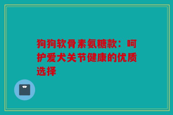 狗狗软骨素氨糖款：呵护爱犬关节健康的优质选择