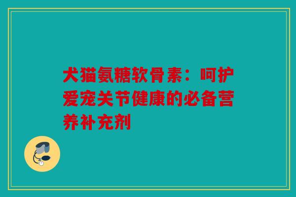 犬猫氨糖软骨素：呵护爱宠关节健康的必备营养补充剂