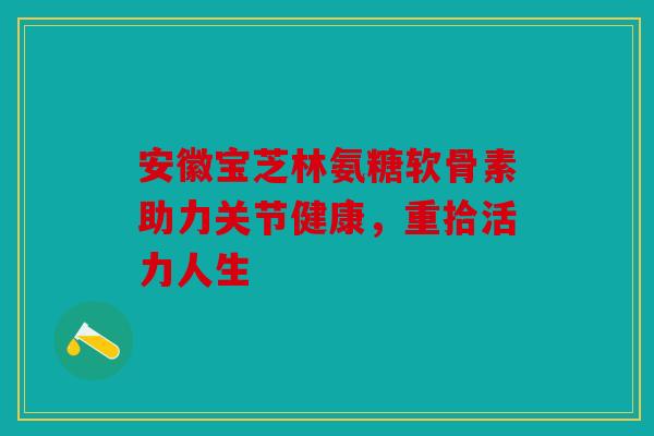 安徽宝芝林氨糖软骨素助力关节健康，重拾活力人生