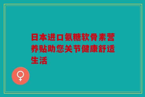 日本进口氨糖软骨素营养贴助您关节健康舒适生活