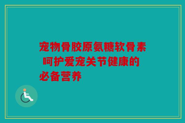 宠物骨胶原氨糖软骨素 呵护爱宠关节健康的必备营养