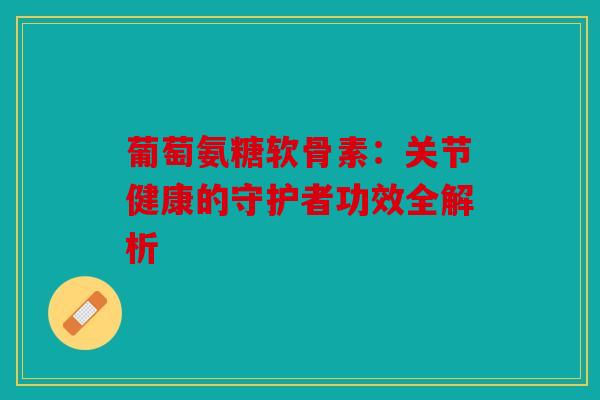 葡萄氨糖软骨素：关节健康的守护者功效全解析